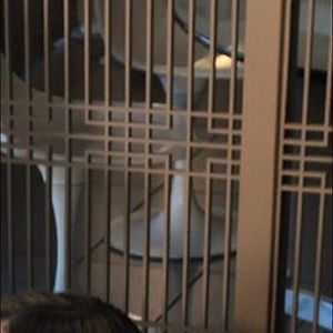 Meet your Posher, Nancy